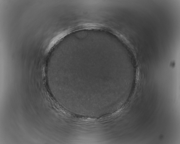 X0000116121261200912071338