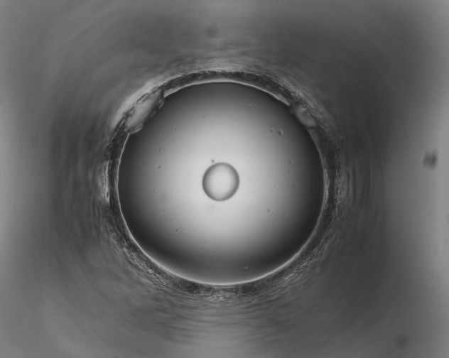 X0000116121262200912071338