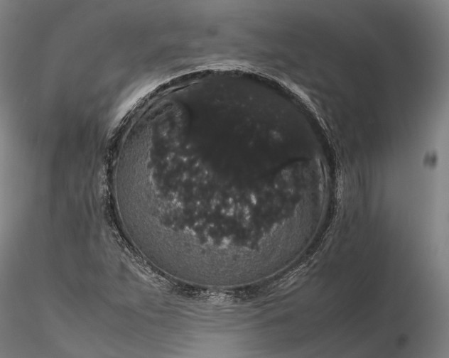 X0000116121263200912071338