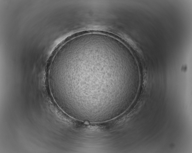 X0000116121264200912071338