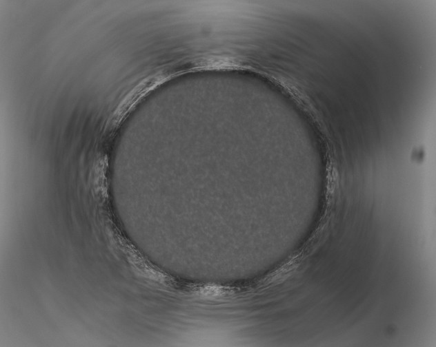 X0000116121265200912071338