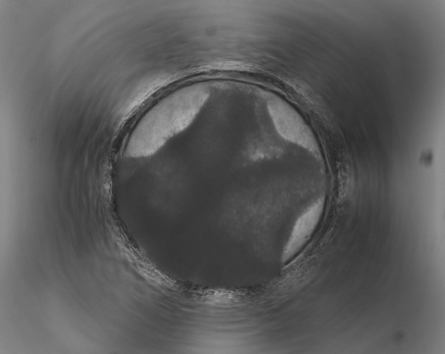 X0000116121266200912071338