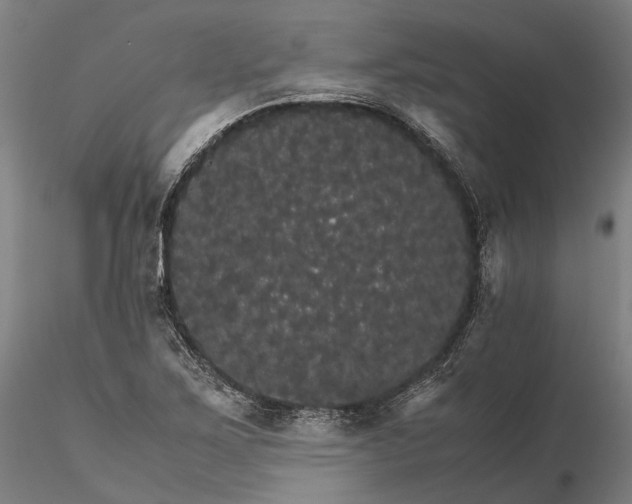 X0000116121267200912071338