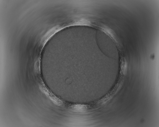 X0000116121268200912071338