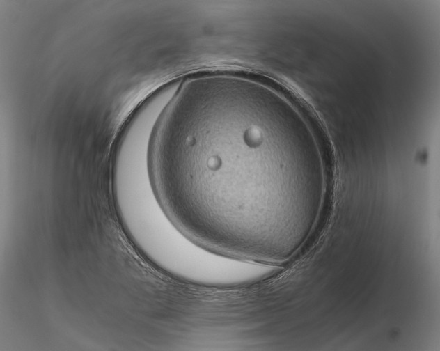 X0000116121269200912071338