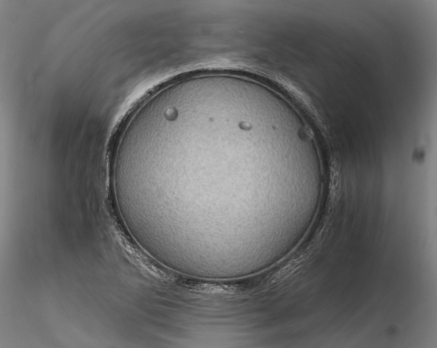 X0000116121270200912071338