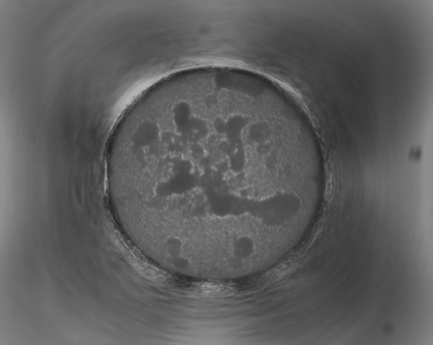 X0000116121271200912071338