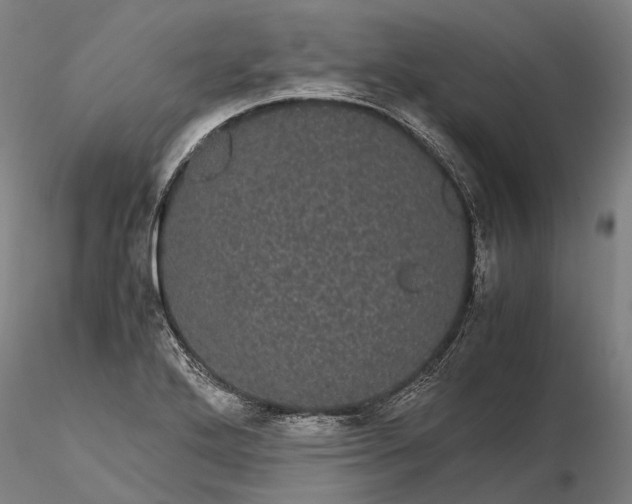 X0000116121272200912071338