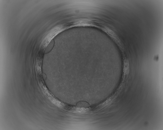 X0000116121273200912071338