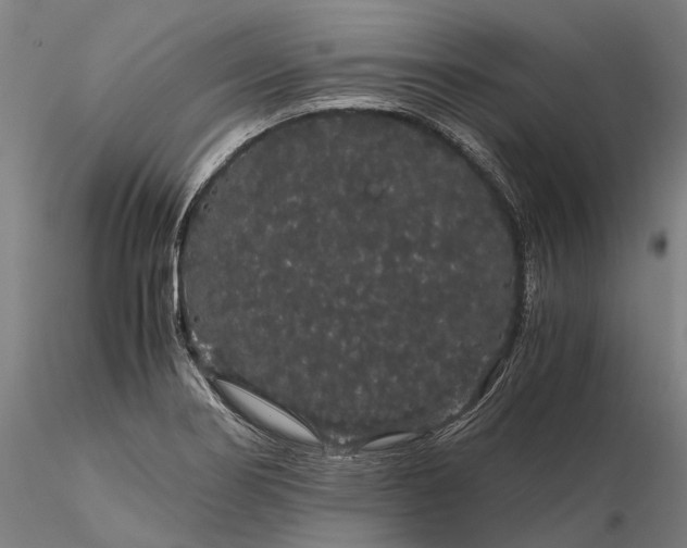 X0000116121274200912071338