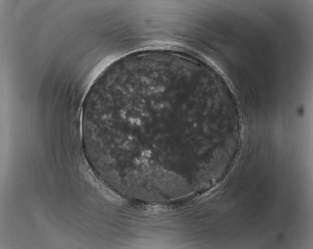 X0000116121275200912071338