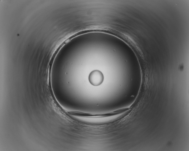 X0000116121276200912071337