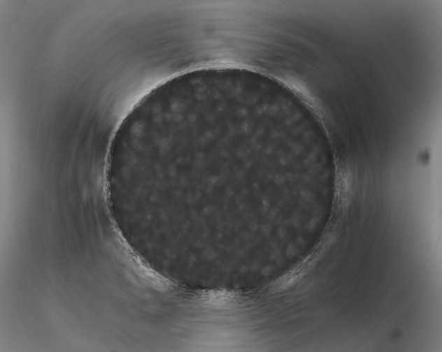 X0000116121278200912071337