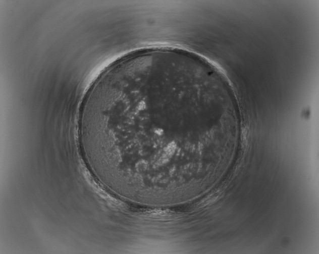 X0000116121279200912071337