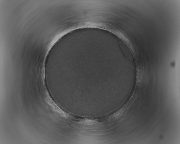 X0000116121280200912071337