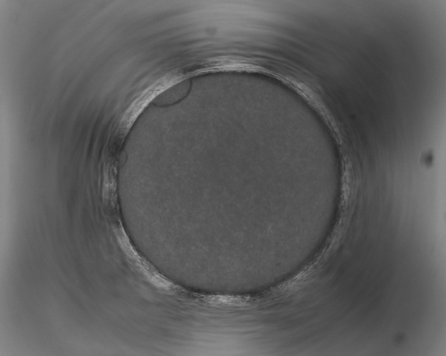 X0000116121281200912071337