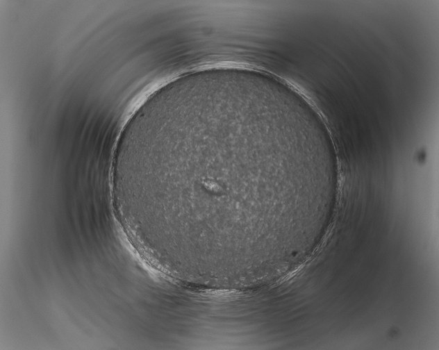 X0000116121282200912071337