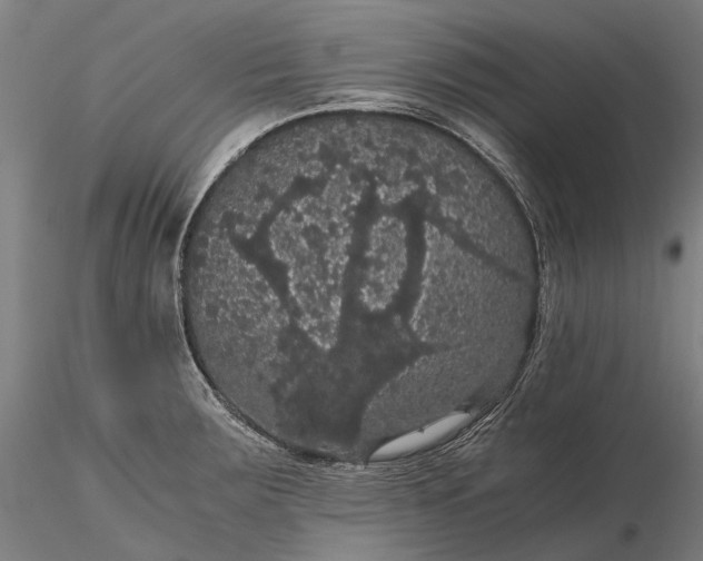 X0000116121283200912071337