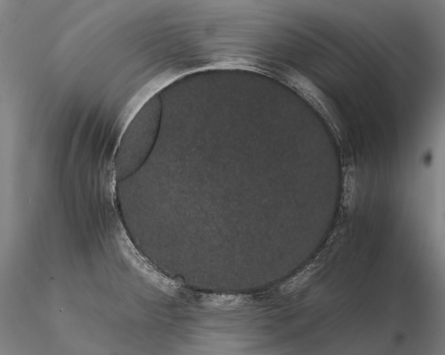 X0000116121284200912071337