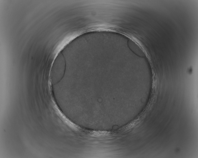 X0000116121285200912071337