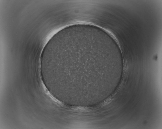 X0000116121287200912071337