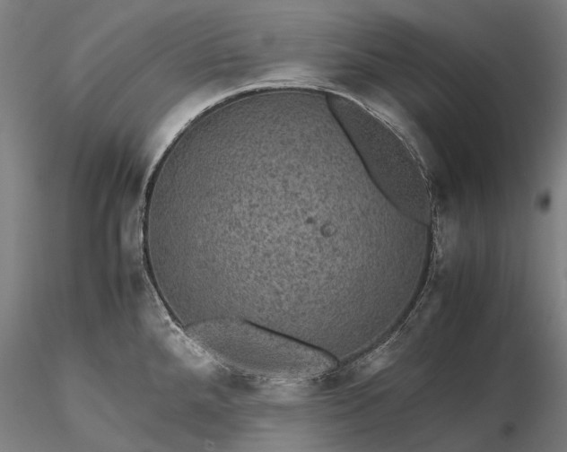 X0000116121288200912071337