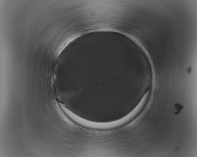 X0000116121289200912071337