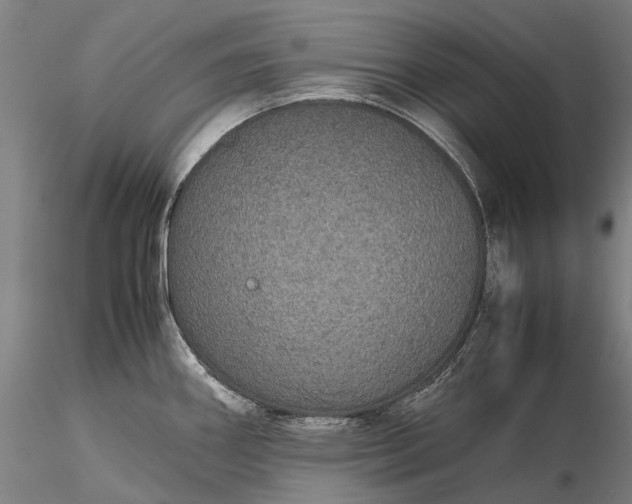 X0000116121290200912071337