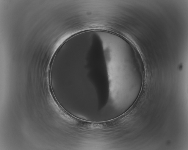 X0000116121291200912071337