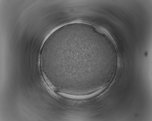 X0000116121292200912071337