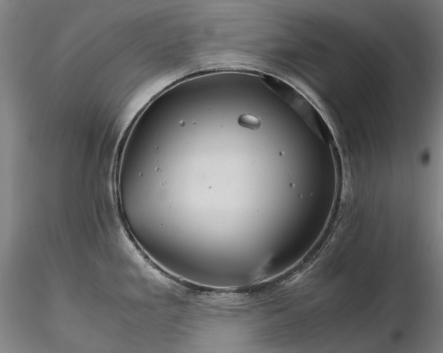 X0000116121293200912071337