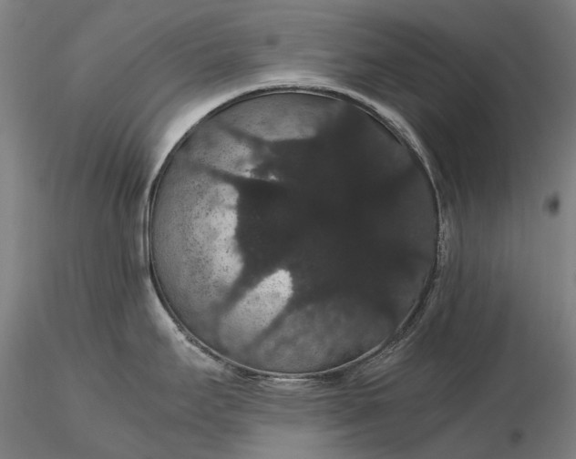 X0000116121295200912071337