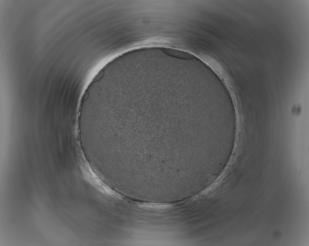 X0000116121296200912071337