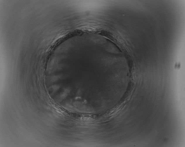 X0000116121297200912071336