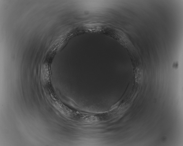 X0000116121298200912071336