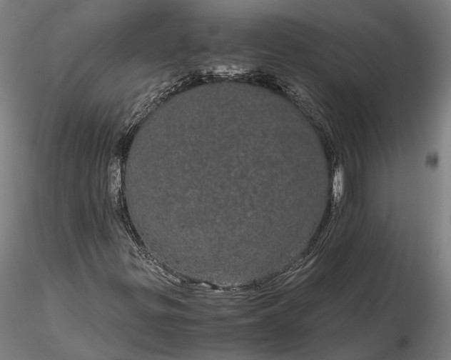 X0000116121299200912071336