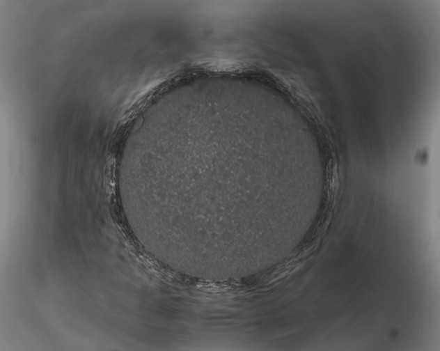 X0000116121301200912071336