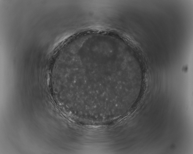 X0000116121302200912071336