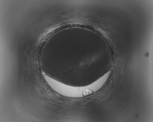 X0000116121303200912071336