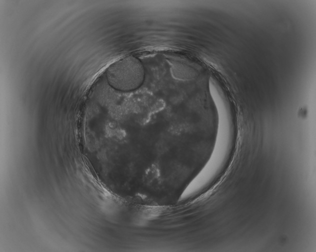 X0000116121305200912071336