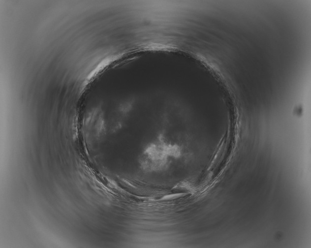 X0000116121306200912071337