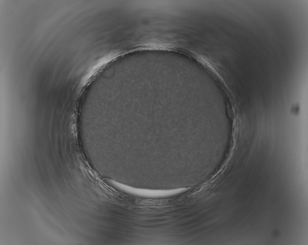 X0000116121307200912071337