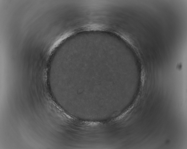 X0000116121309200912071337