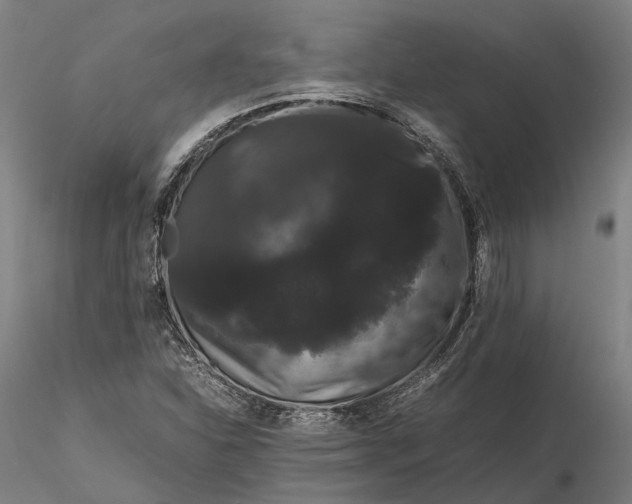 X0000116121310200912071337