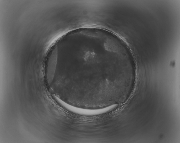 X0000116121311200912071337