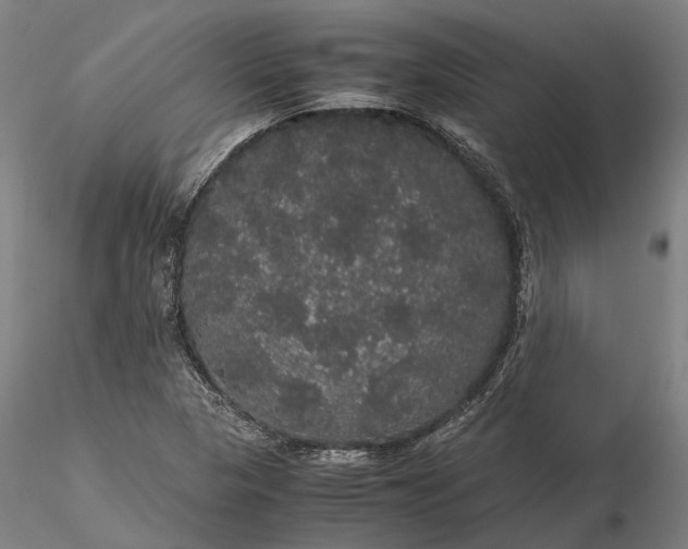 X0000116121313200912071337