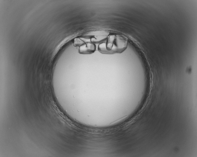 X0000116121314200912071337