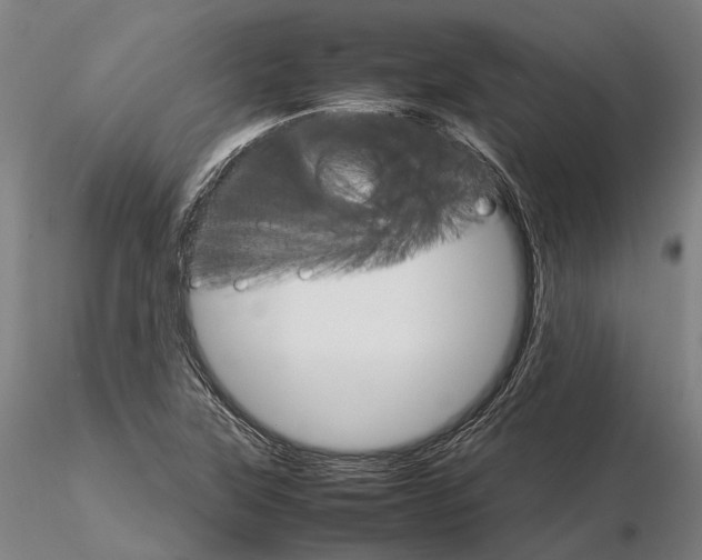 X0000116121315200912071337