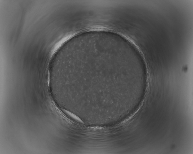 X0000116121317200912071337