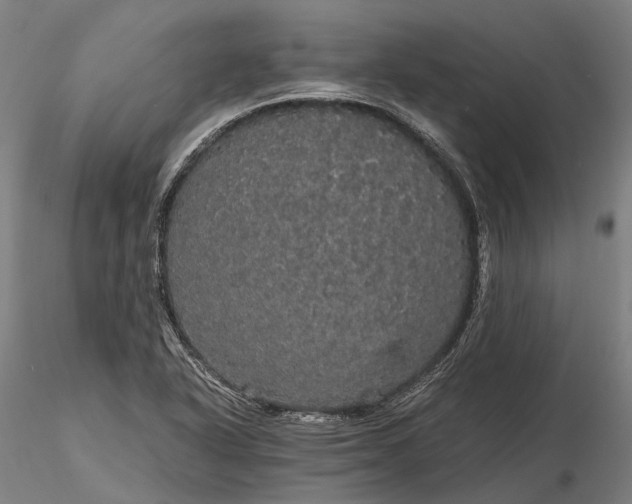 X0000116121318200912071337